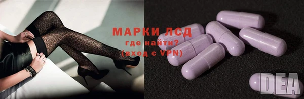 ПСИЛОЦИБИНОВЫЕ ГРИБЫ Аркадак