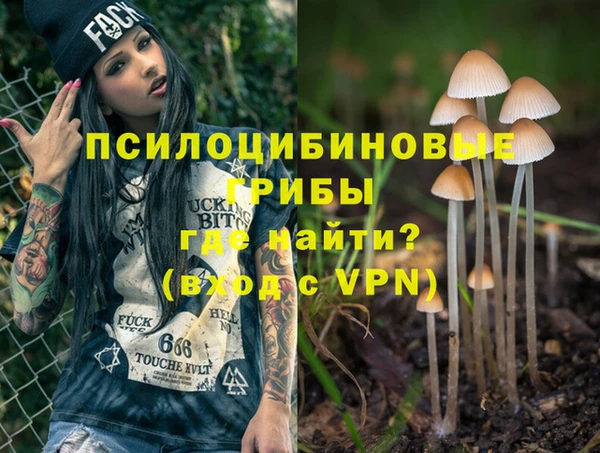 ПСИЛОЦИБИНОВЫЕ ГРИБЫ Аркадак