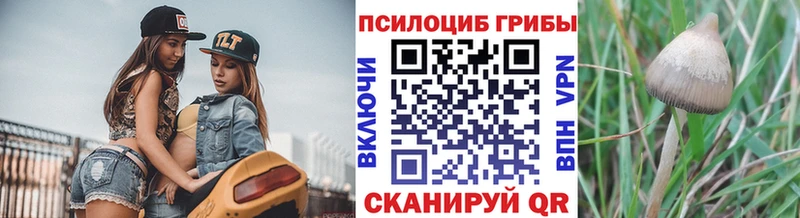 Галлюциногенные грибы Magic Shrooms Починок